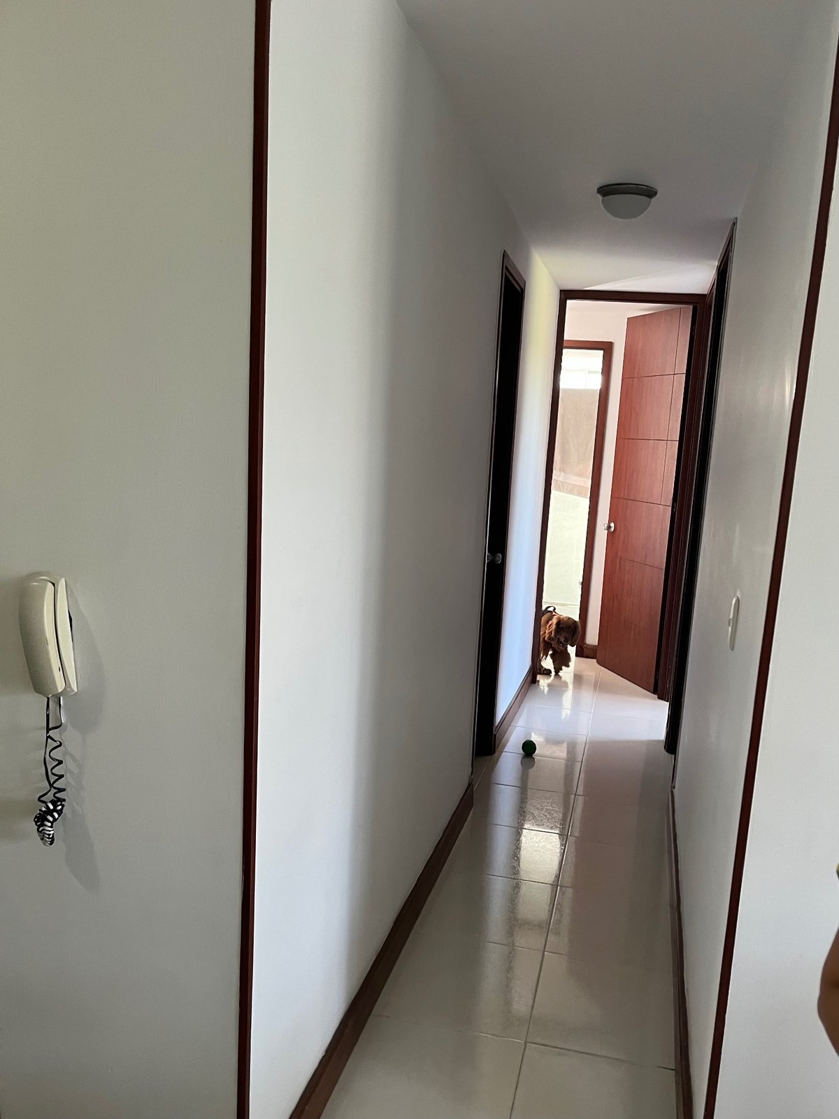 Apartamento Torres del bosque - Foto 14